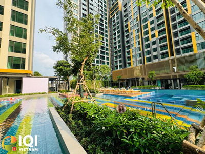 Of The Sun, Vietnam Of The Sun, Vietnam