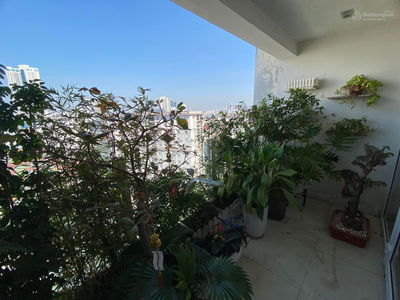 Chelsea Park, Vietnam  Chelsea Park, Vietnam