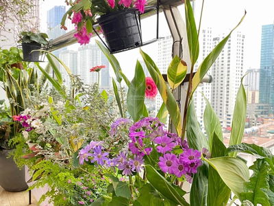 Chelsea Residences Project, Vietnam Chelsea Residences Project, Vietnam