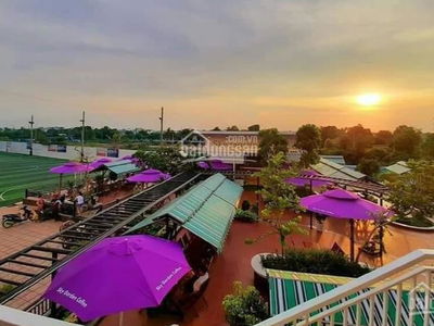 Le Thanh Tan Tao, Vietnam Le Thanh Tan Tao, Vietnam