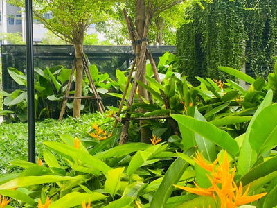 Kingdom 101, Vietnam Kingdom 101, Vietnam