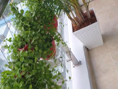 Orchard Park View Apartment, Vietnam Orchard Park View Apartment, Vietnam