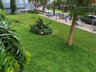 Phu My Thuan, Vietnam Phu My Thuan, Vietnam