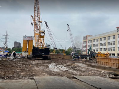 Golden Crown, Vietnam Golden Crown, Vietnam