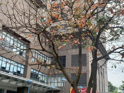 VOV Me Tri Project, Vietnam VOV Me Tri Project, Vietnam