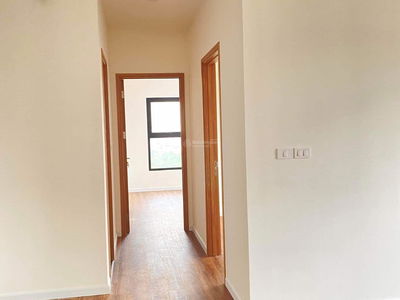 Lavender Garden, Vietnam Lavender Garden, Vietnam