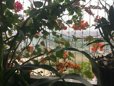 Xuan Mai Complex Project, Vietnam Xuan Mai Complex Project, Vietnam