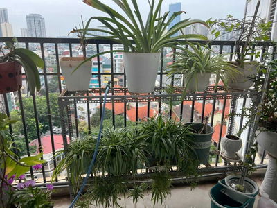 Trung Yen Plaza Project, Vietnam Trung Yen Plaza Project, Vietnam