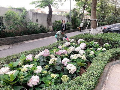 Ecolife Capitol Project, Vietnam Ecolife Capitol Project, Vietnam