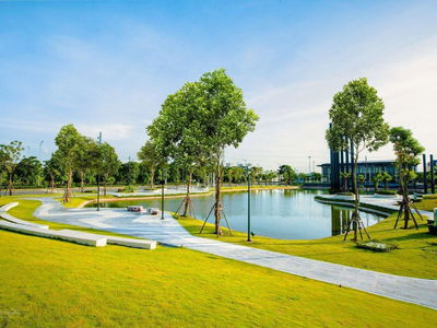 - An Lac Green Symphony, Vietnam - An Lac Green Symphony, Vietnam