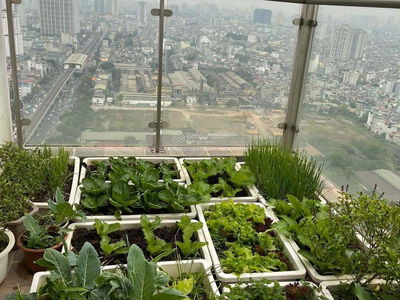 Gold Tower, Vietnam Gold Tower, Vietnam