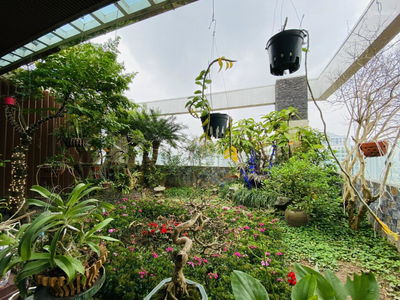 The Matrix One Project, Vietnam The Matrix One Project, Vietnam