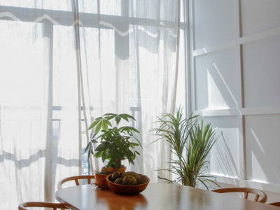 Him Lam Phu Dong, Vietnam Him Lam Phu Dong, Vietnam