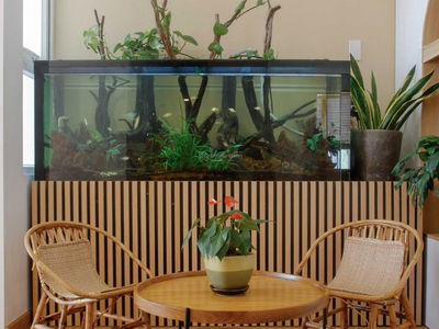 Him Lam Phu Dong, Vietnam Him Lam Phu Dong, Vietnam