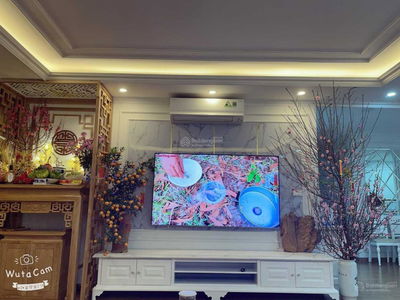 Iris Garden, Vietnam Iris Garden, Vietnam