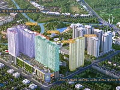 Topaz Elite, Vietnam Topaz Elite, Vietnam