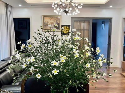 Imperia Garden, Vietnam Imperia Garden, Vietnam