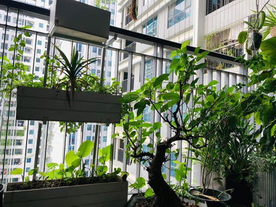 Goldmark City, Vietnam Goldmark City, Vietnam