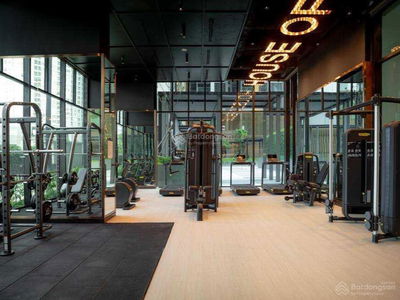 Of The Sun, Vietnam Of The Sun, Vietnam