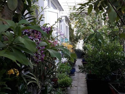 Riverside Residence, Vietnam  Riverside Residence, Vietnam