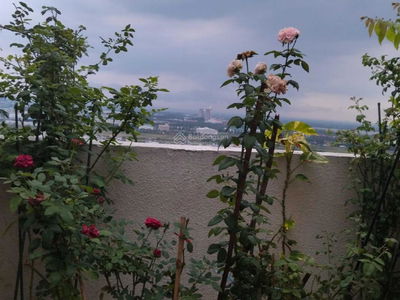 The CBD Premium Home, Vietnam The CBD Premium Home, Vietnam