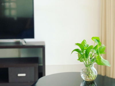 Scenic Valley 1, Vietnam Scenic Valley 1, Vietnam