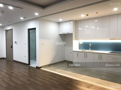 The Golden Armor Project, Vietnam The Golden Armor Project, Vietnam