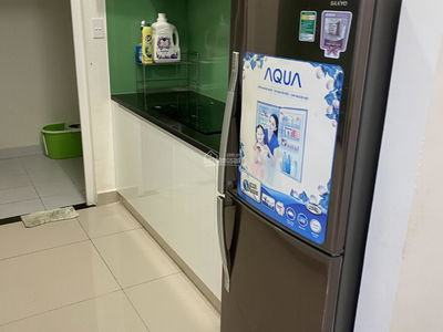 Washed Garden Washed Garden