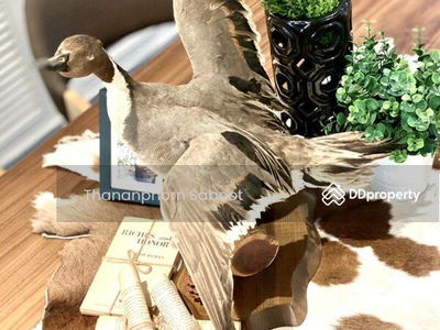 3-Bedroom Townhouse at Ekkamai 12, Bangkok, Thailand 3-Bedroom Townhouse at Ekkamai 12, Bangkok, Thailand