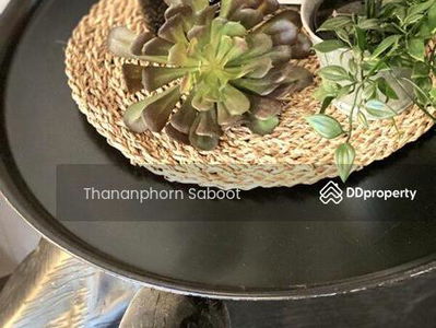 3-Bedroom Townhouse at Ekkamai 12, Bangkok, Thailand 3-Bedroom Townhouse at Ekkamai 12, Bangkok, Thailand