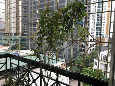 Gehäuse In Ha GJong, Vietnam Gehäuse In Ha GJong, Vietnam