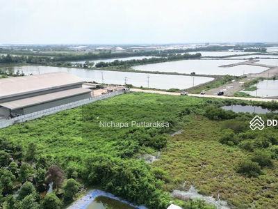 Land for rent in Samut Sakhon, 3 rai, Phanthai Norasing. Mueang Samut Sakhon District, Samut Sakhon, Samut Sakhon, Thailand Land for rent in Samut Sakhon, 3 rai, Phanthai Norasing. Mueang Samut Sakhon District, Samut Sakhon, Samut Sakhon, Thailand
