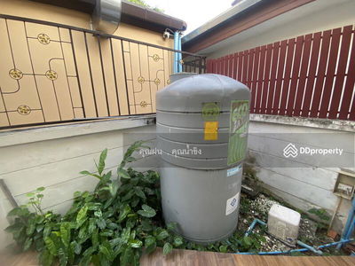 A6MG0895, Chiang Mai, Thailand A6MG0895, Chiang Mai, Thailand