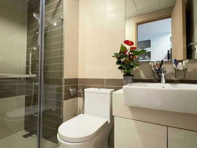 Zenity, Vietnam Zenity, Vietnam