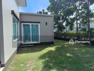 Burasiri Bueng Nong Kot, Khon Kaen, Thailand Burasiri Bueng Nong Kot, Khon Kaen, Thailand