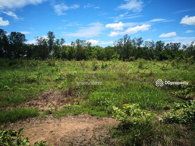 LSR-008 Non Soong Subdistrict, Mueang District, Udonthani Province, Udon Thani : Non Soong Subdistrict, Mueang District, Udonthani Province, Udon Thani, Thailand LSR-008 Non Soong Subdistrict, Mueang District, Udonthani Province, Udon Thani : Non Soong Subdistrict, Mueang District, Udonthani Province, Udon Thani, Thailand