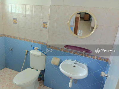 Single-storey detached house for rent, near the terminal, lots of space, Nakhon Ratchasima, Thailand Single-storey detached house for rent, near the terminal, lots of space, Nakhon Ratchasima, Thailand