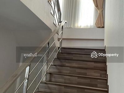 AMR0474, Chiang Mai, Thailand AMR0474, Chiang Mai, Thailand