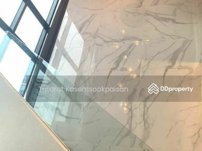 Ivy Ampio, Bangkok, Thailand Ivy Ampio, Bangkok, Thailand