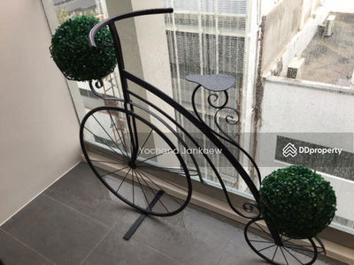 LIV@49, Bangkok, Thailand LIV@49, Bangkok, Thailand