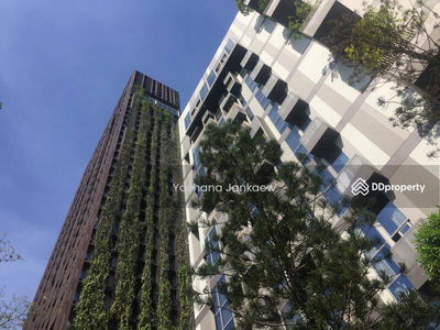 ASHTON Morph 38, Bangkok, Thailand ASHTON Morph 38, Bangkok, Thailand