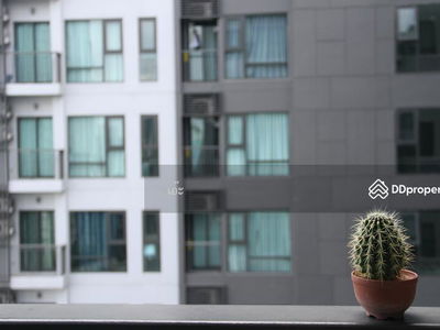 Rhythm Sukhumvit 36-38, Bangkok, Thailand Rhythm Sukhumvit 36-38, Bangkok, Thailand