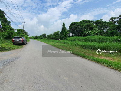 Empty land for rent, area 4, 8 rai, Suwinthawong 90, joint development, Nong Chok, can do agriculture, Bangkok, Thailand Empty land for rent, area 4, 8 rai, Suwinthawong 90, joint development, Nong Chok, can do agriculture, Bangkok, Thailand
