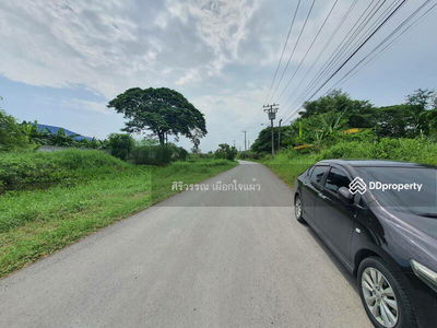 Empty land for rent, area 4, 8 rai, Suwinthawong 90, joint development, Nong Chok, can do agriculture, Bangkok, Thailand Empty land for rent, area 4, 8 rai, Suwinthawong 90, joint development, Nong Chok, can do agriculture, Bangkok, Thailand