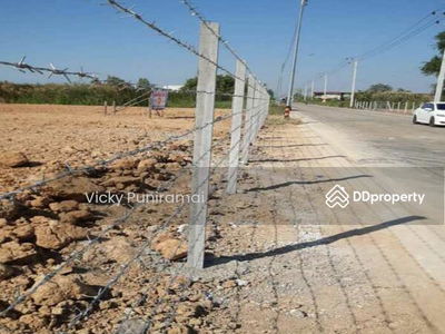 13578 Empty land for rent, 2 rai, already filled, long term, Khlong Song, Talat Thai, suitable for growing marijuana. Warehouse, Pathum Thani, Thailand 13578 Empty land for rent, 2 rai, already filled, long term, Khlong Song, Talat Thai, suitable for growing marijuana. Warehouse, Pathum Thani, Thailand