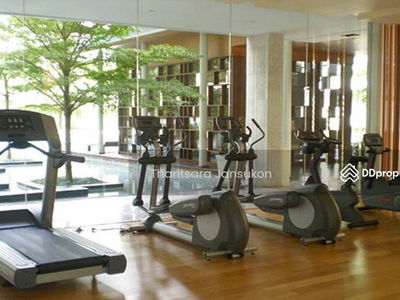 Ficus Lane, Bangkok, Thailand Ficus Lane, Bangkok, Thailand