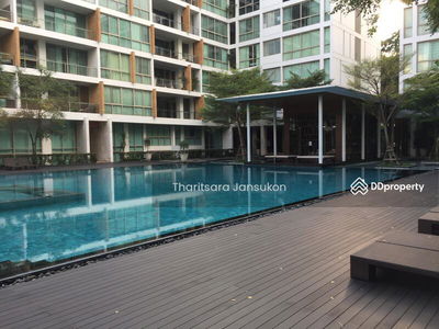 Ficus Lane, Bangkok, Thailand Ficus Lane, Bangkok, Thailand