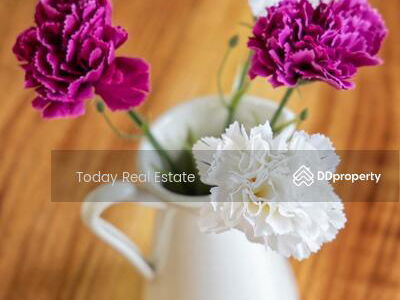 Logement dans Kathu, Thailand Logement dans Kathu, Thailand