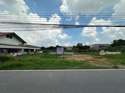 Empty land for rent, Soi Khlong Sam 6/5, Khlong Luang, size 120 sq m, in a community area, special price, Pathum Thani, Thailand Empty land for rent, Soi Khlong Sam 6/5, Khlong Luang, size 120 sq m, in a community area, special price, Pathum Thani, Thailand