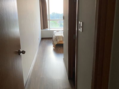 The Canary, Vietnam The Canary, Vietnam